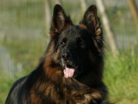 DSC09858
