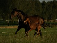 Mareike's Lieblinge  Bes.: Mareike Grieshaber