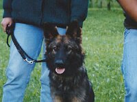 Andra  Andra 9 Monate