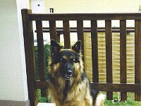 1035 Daisy 2 Jahre