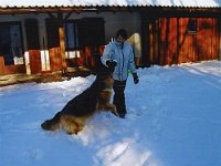 Dasko 10 Jahre