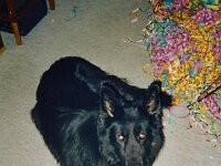 Django 1 Jan 04