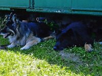 Leska und Django