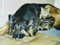 Donna mit 8 Jahren