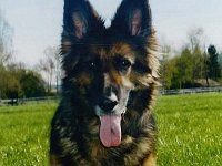 Ebony 8Jahre1