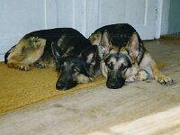 1030 Fascia 2 Jahre alt