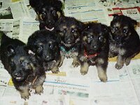 001 die Zweite von rechts