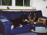 009 haben wirs nicht toll