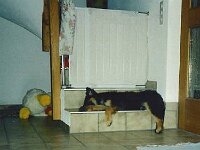 011 auch die Treppe ist zu