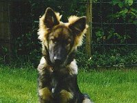 1024 ich seh wieder schrecklich aus