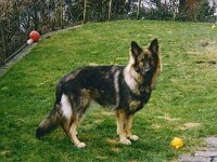 1030 Grace von den Wolfsgruben