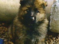 Harro, 31.7.1997 - 9.11.2009