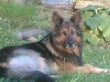 CID Foto 434