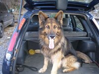 Chlaush ck 2007 001