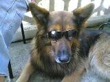 Foto hasco