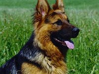 1022 bald 1 Jahr alt