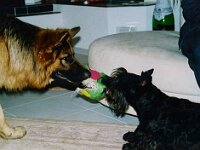 Lasco und Daisy