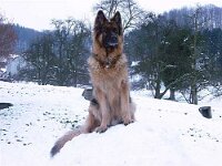 Lenny Schnee 001