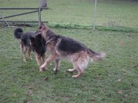 Lenny und Chewy 003
