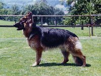 1030 Lenny von den Wolfsgruben