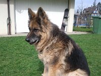 2011-03-31 1Lenny