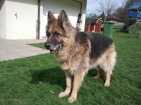 2011-03-31 Lenny