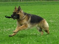 Besuch bei Lenny und anderes 060