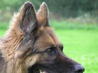 Besuch bei Lenny und anderes 066
