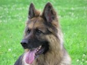 Besuch bei Lenny und anderes 082