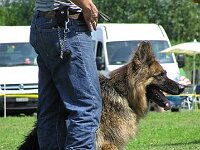 J rgen und Lenny Pokalwettkampf Thal 2006 Samstag 325