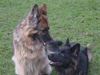 Lenny und Chewy 001
