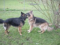 Lenny und Chewy 008