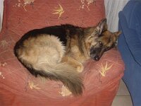 Lenny und Chewy 009