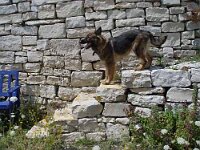 Hallau 21 Juli05 011Verkleinert