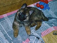 Nandu BH1, 19.12.1999 - 18.11.2009