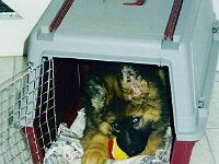 1029 Nasa und ihre Box