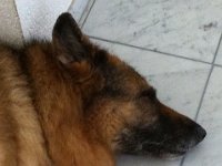 Nasa mÃ¼de (2) : hct