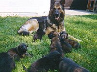 1030 Nobody fast 4 Jahre alt