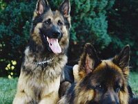 1035 Nobody und ihr Freund