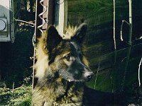 013 wer kommt denn da