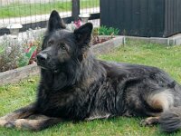 Siro Ostern 2009 1 5