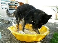 Siro Pool 20 05 09 0062