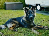 auch das gehoert mir