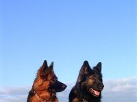 Chiara und Kiewo