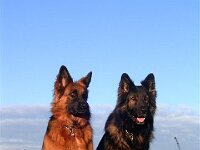 Chiara und Kiewo2