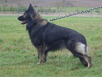 Wotan 12