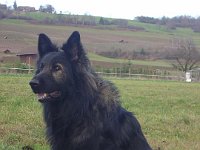 Wotan 9