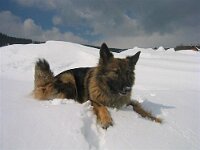 In der Ramsau 2005 3 001