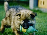 1023 hats niemand gesehen