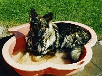 1032 oder etwas nass